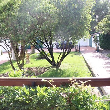 A Quinta Duna Salir de Porto 외부 사진